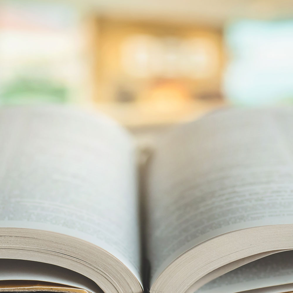 Close-up view of a Bible